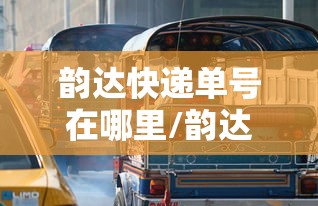 韵达快递单号在哪里/韵达快递单号在哪里写着呢 韵达快递单号在哪里/韵达快递单号在哪里写着呢