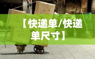 【快递单/快递单尺寸】
