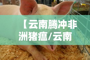 昆明呈贡疫情/昆明呈贡新冠肺炎