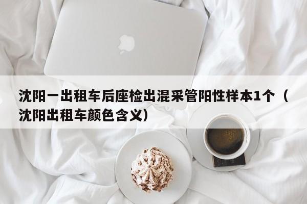 沈阳一出租车后座检出混采管阳性样本1个(沈阳出租车颜色含义)