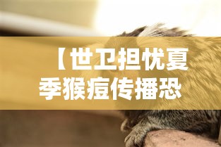 上海新增11例本土死亡病例/上海新增1例本土疑似病例 上海新增11例本土死亡病例/上海新增1例本土疑似病例