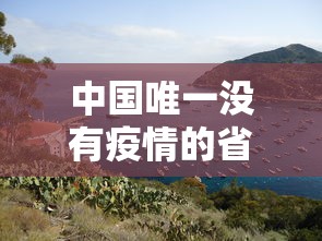 【广东新增5例本土病例,广东新增5例本土病例是什么情况】