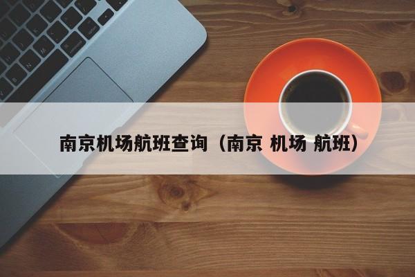 南京机场航班查询(南京 机场 航班)