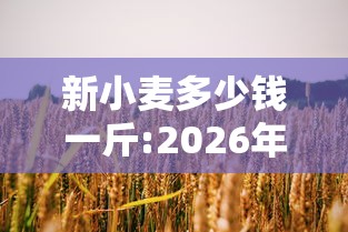新小麦多少钱一斤:2026年新小麦多少钱一斤
