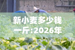 四川富顺在线/四川富顺在线客服电话